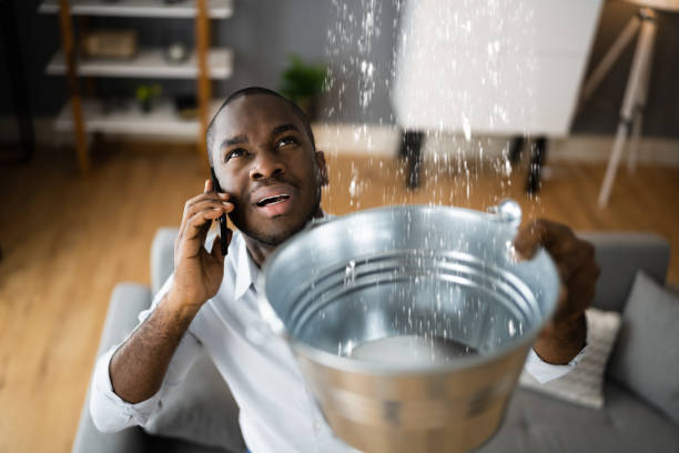 Best Sewage cleanup and water damage restoration  in Troy, MI