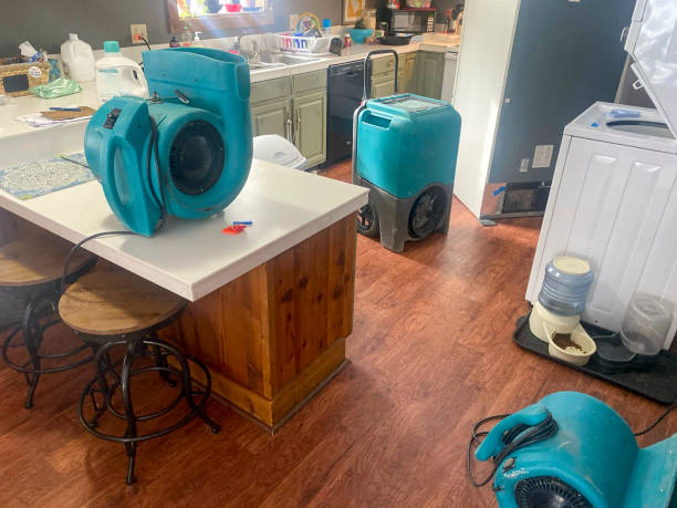 Best Commercial water damage restoration  in Troy, MI