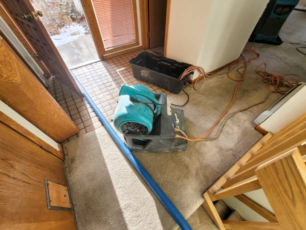 Best Sewage cleanup and water damage restoration  in Troy, MI