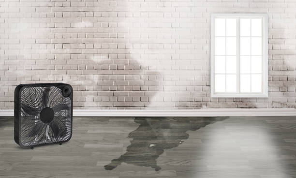 Best Flooded house restoration  in Troy, MI