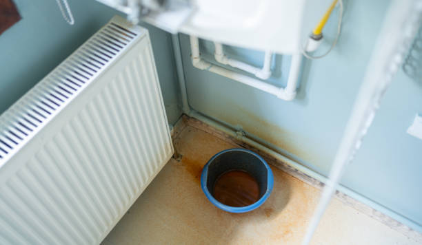Best Ceiling water damage repair  in Troy, MI