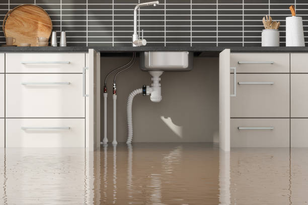 Best Water damage contractors near me  in Troy, MI