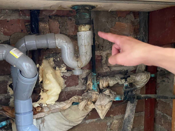Best Fire Damage Restoration  in Troy, MI