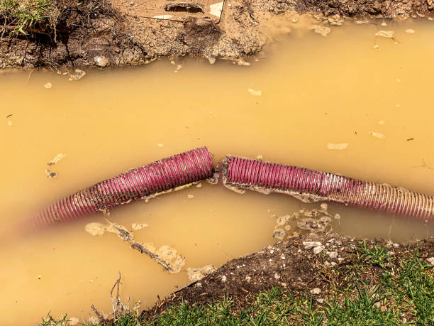 Best 24/7 water damage repair  in Troy, MI